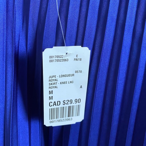 Pleated skirt - Picture 1 of 2